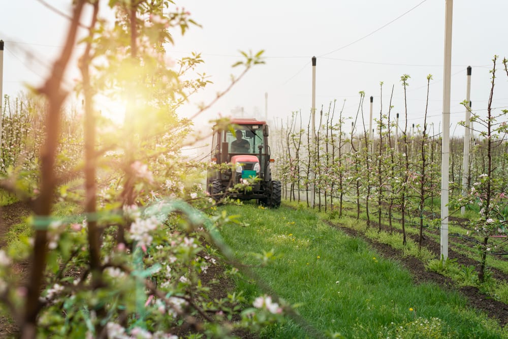 Come il cambiamento climatico minaccia l’agricoltura