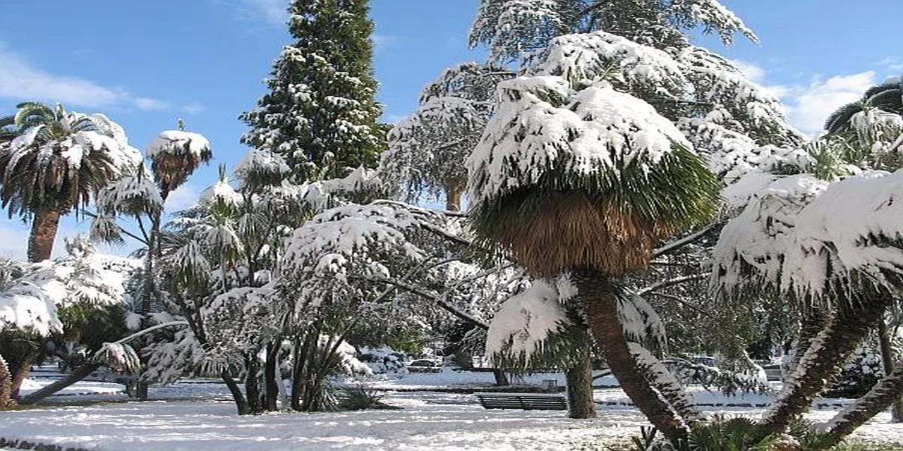 Neve abbondante illuminata dal sole