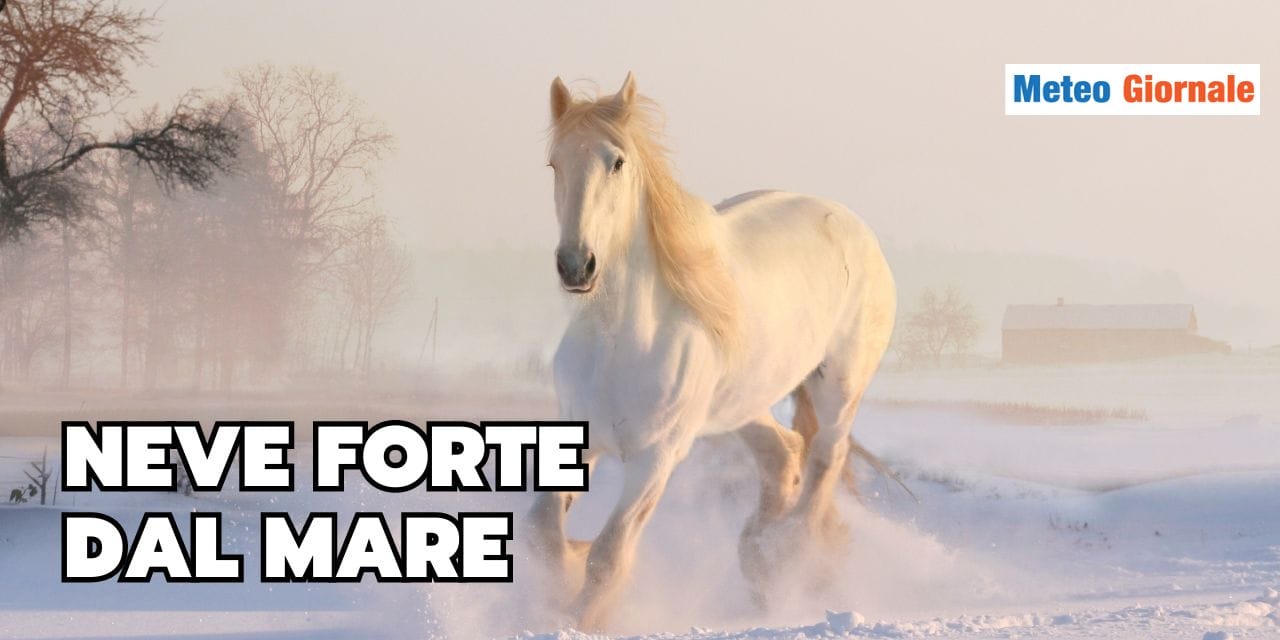 Meteo, la tempesta di neve perfetta che viene dal mare