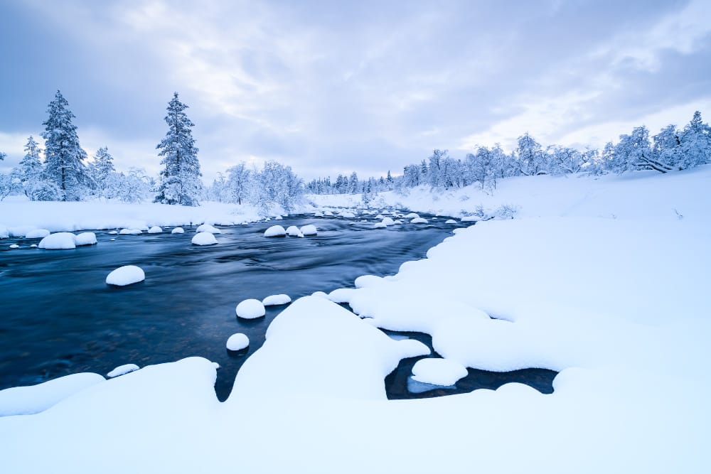 Record di neve, migrazioni dei salmoni e tundra più verde: ecco come sarà l’Artico
