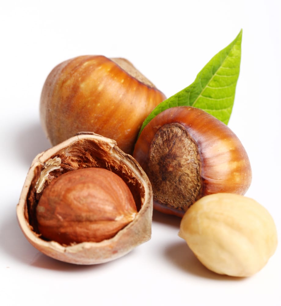 La rinascita di Cortemilia: dalla fiera della nocciola alle nuove opere