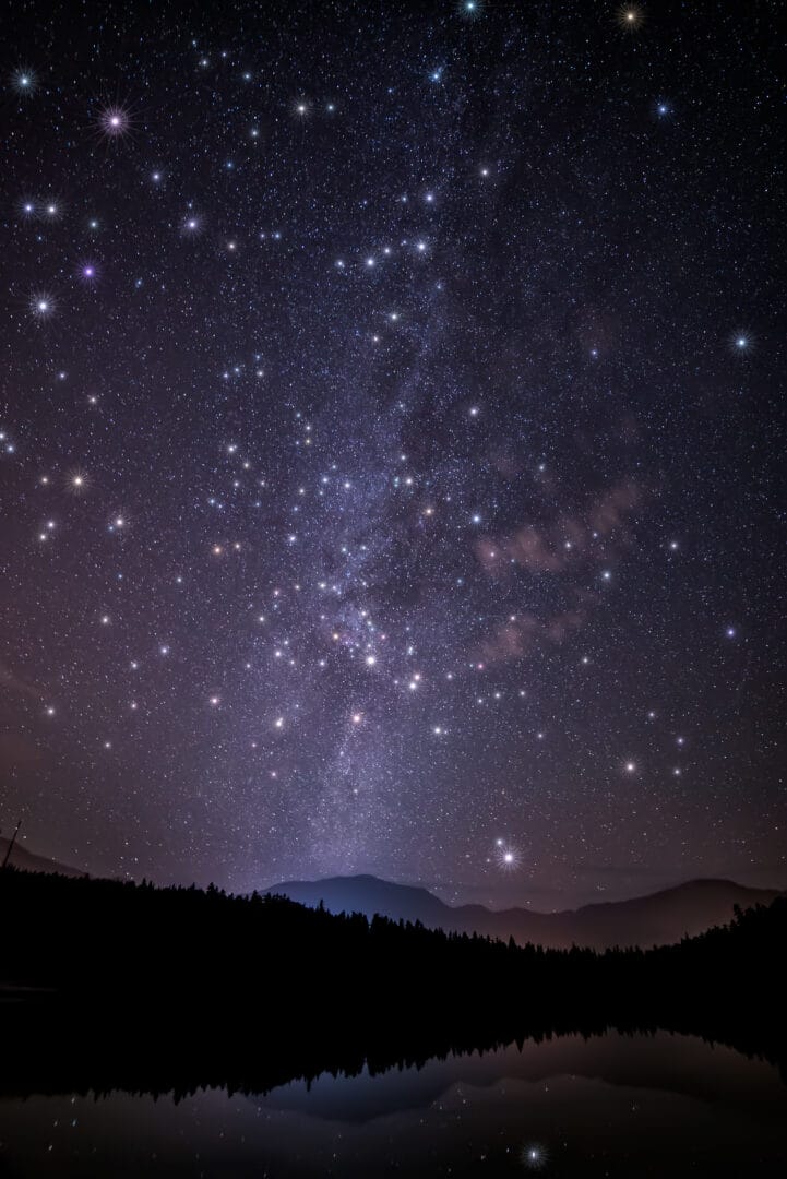 Il Superammasso Westerlund 1 Osservato ai Raggi X