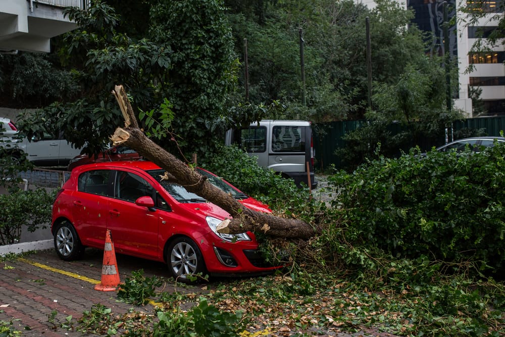 Meteo, a Torino oltre 20 gradi. Tempesta di vento. Molti danni. In provincia, Uragano sino a 220 km orari