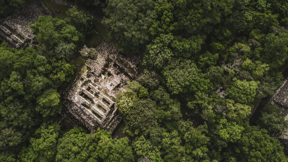 Riscrivere la storia: migliaia di siti precolombiani scoperti nella foresta amazzonica