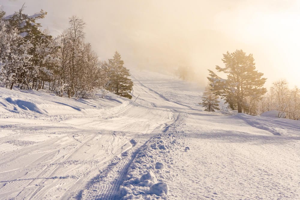 Arrivo del vortice polare in Italia con temperature record