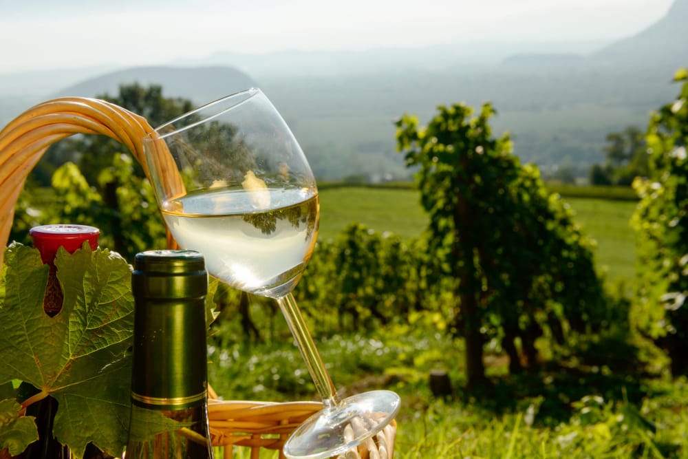 I Paesi Da Esplorare Sulla Strada Del Prosecco