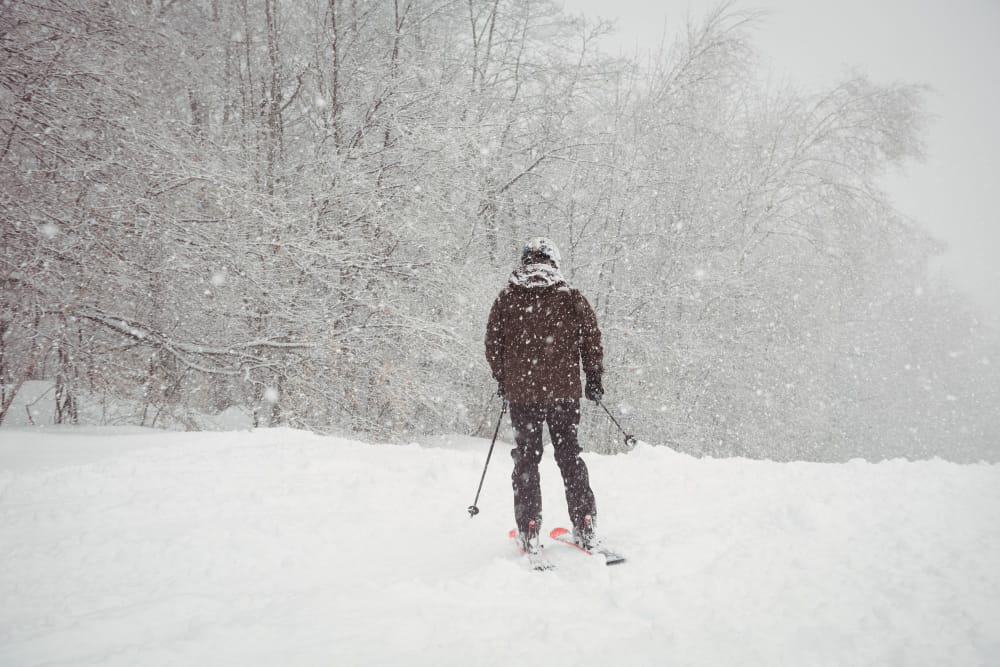 Maltempo sulle Alpi di Confine con Piogge e Nevicate abbondanti
