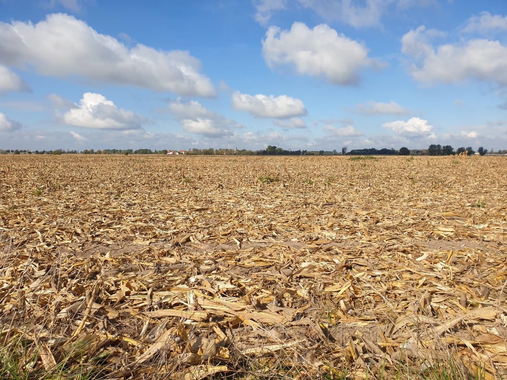 Emilia-Romagna, Coldiretti: perdite di 6 milioni di Euro a causa del cambiamento climatico