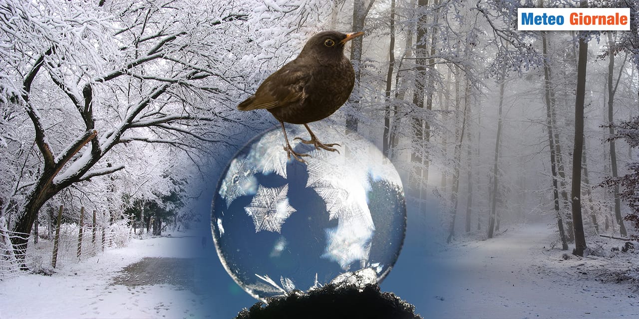 La tradizione meteo dei "giorni della merla"