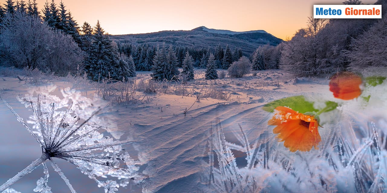 L'importanza della diversità meteo climatica, anche in INVERNO