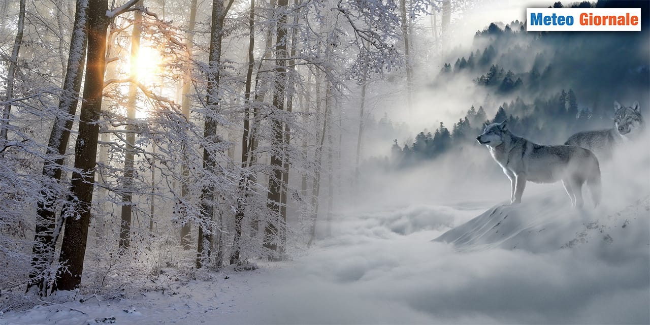 Cresce l'attesa meteo per il GELO della Siberia