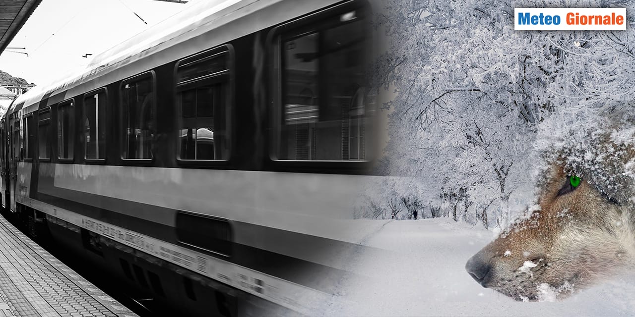 L'ultimo treno meteo dell'INVERNO, poi si resterà al palo