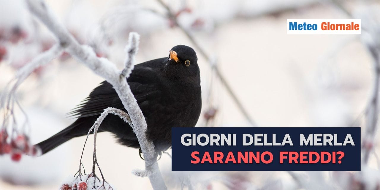 Meteo: freddo e neve nei giorni della Merla? Le tendenze