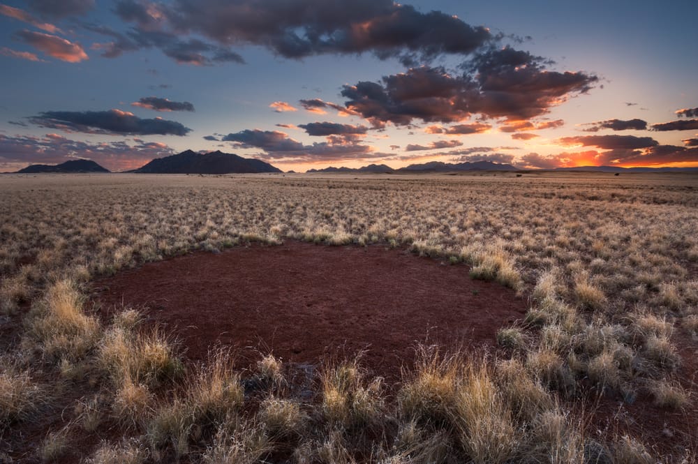 I cerchi delle fate in Namibia: un nuovo studio risolve il mistero