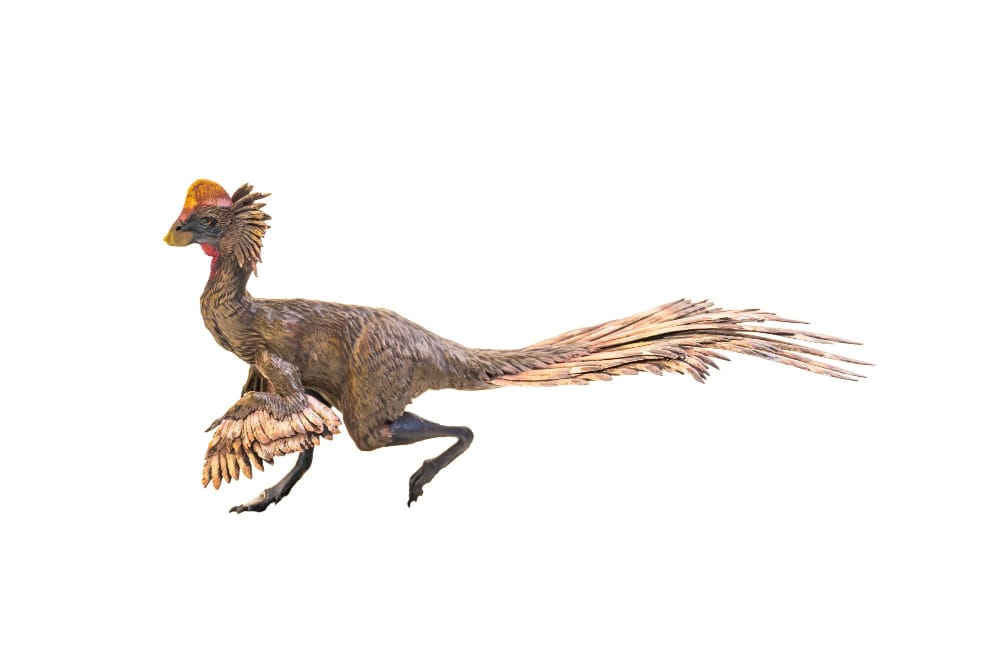 Estinzione dei dinosauri? Una nuova scoperta cambia le teorie