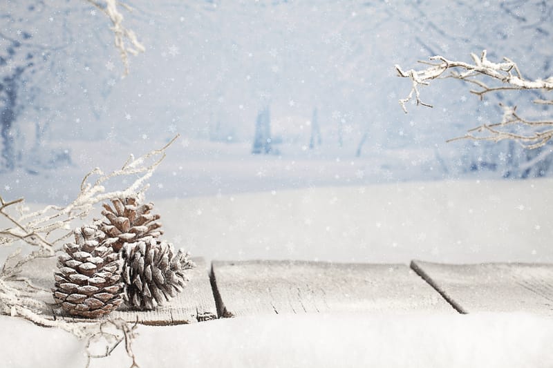 Stop all’inverno, fino a quando? Le date della svolta meteo