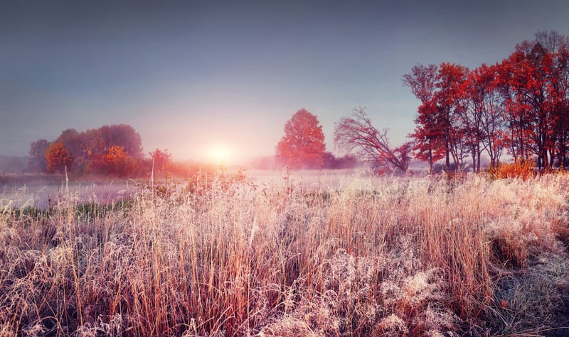 Meteo: caldo anomalo mette KO l’inverno