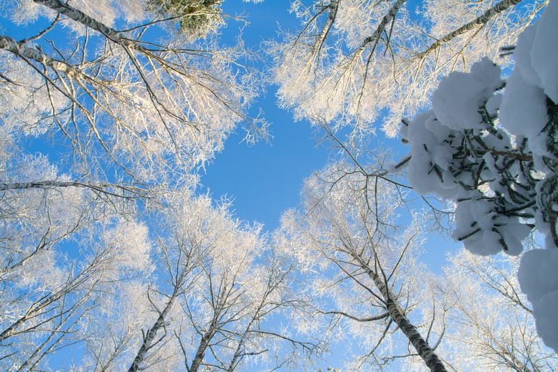Meteo prevede freddo e neve durante i giorni della Merla