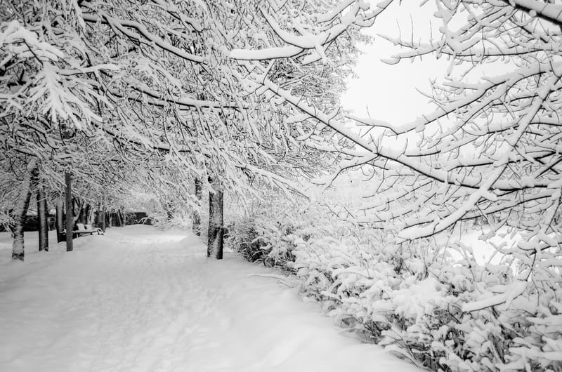 Febbraio diverso, vortice polare in tilt? Previsioni meteo