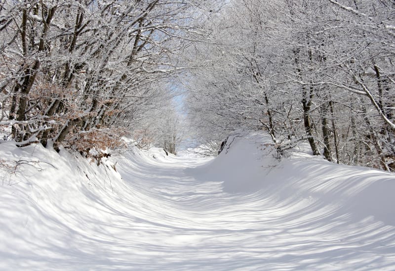 Allerta meteo, arriva la bora: neve a Trieste e poi al Sud