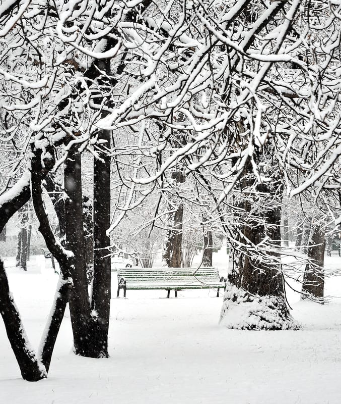 Meteo, ribaltone la prossima settimana con l’inverno che subirà un nuovo duro colpo