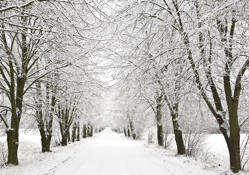 Qualcosa non va nel meteo invernale che si è inceppato