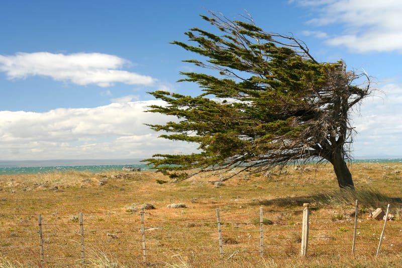Allerta meteo in Puglia con piogge e vento, ritardi treni tra Lecce e Bari