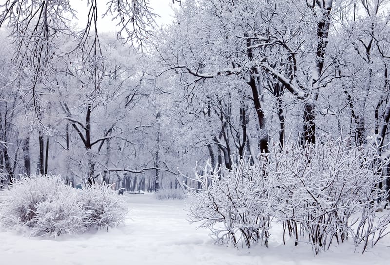 Previsioni meteo febbraio 2024: un inverno come quelli di una volta