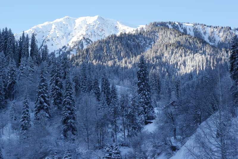 Previsioni meteo per i prossimi 15 giorni, inverno a Febbraio