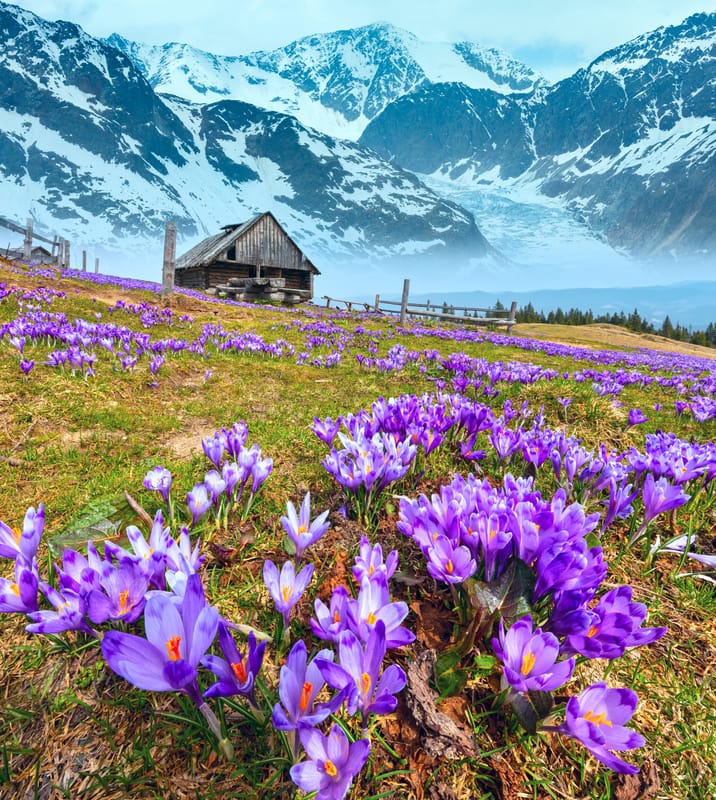 Meteo: falso inverno in pianura e primavera in montagna, presto cambierà tutto
