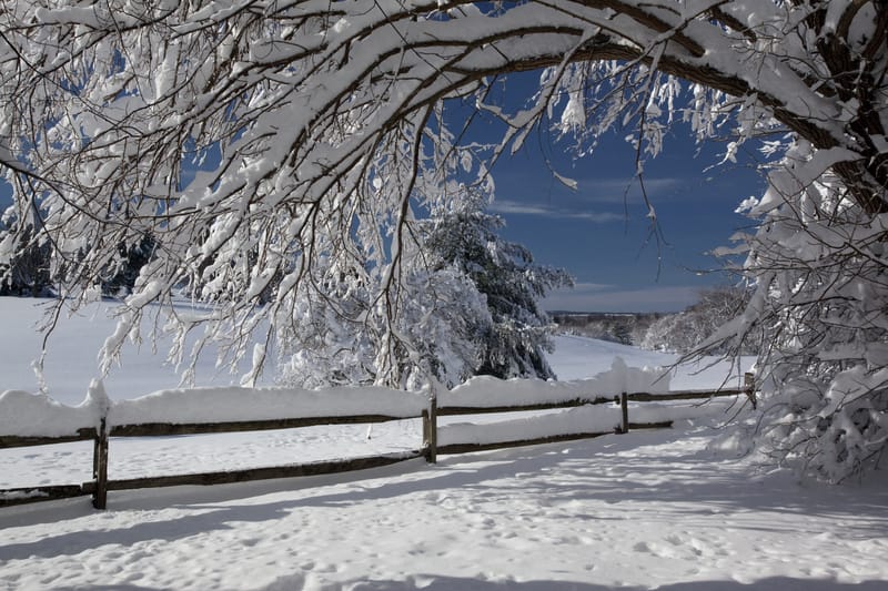 Finlandia registra la temperatura più fredda di gennaio dal 2006