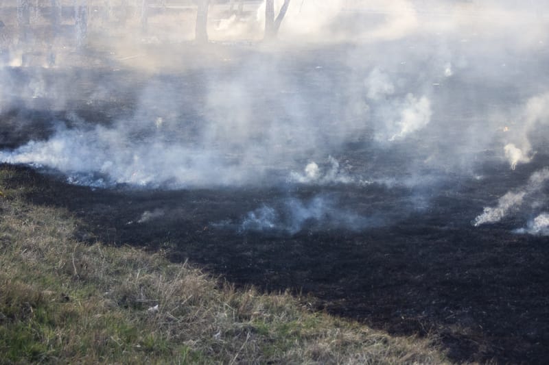 Il Kansas potrebbe affrontare 30 giorni in più di alto rischio incendi con il cambiamento climatico
