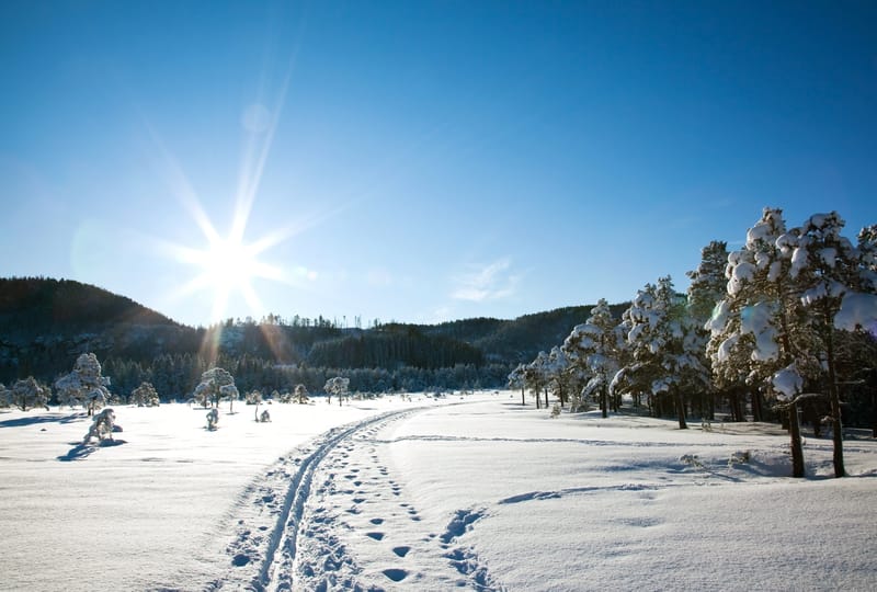 Meteo: arriva il caldo la prossima settimana, poi possibili sorprese
