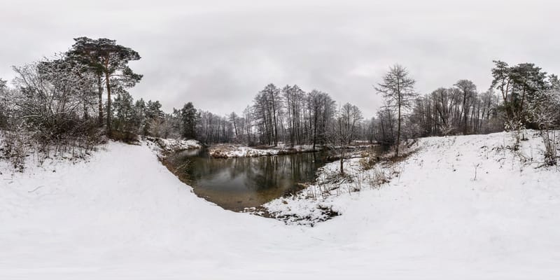 Temperature glaciali colpiscono fattorie allagate nel nord della Germania
