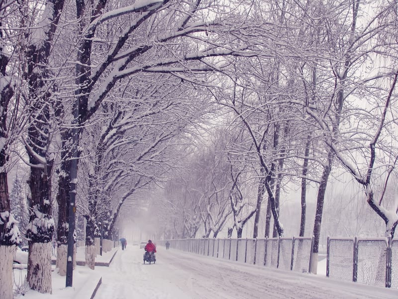 Cina emette avviso per il più forte maltempo invernale dal 2009 durante il Festival di Primavera