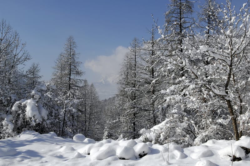Previsioni meteo: Italia nel gelo, weekend freddissimo con neve e vento al Sud