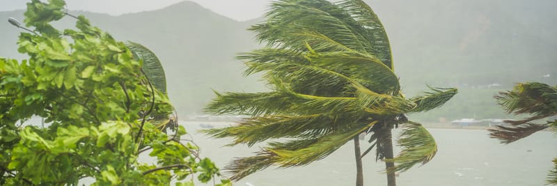 Ciclone Belal, allerta meteo massima sull’isola della Reunion