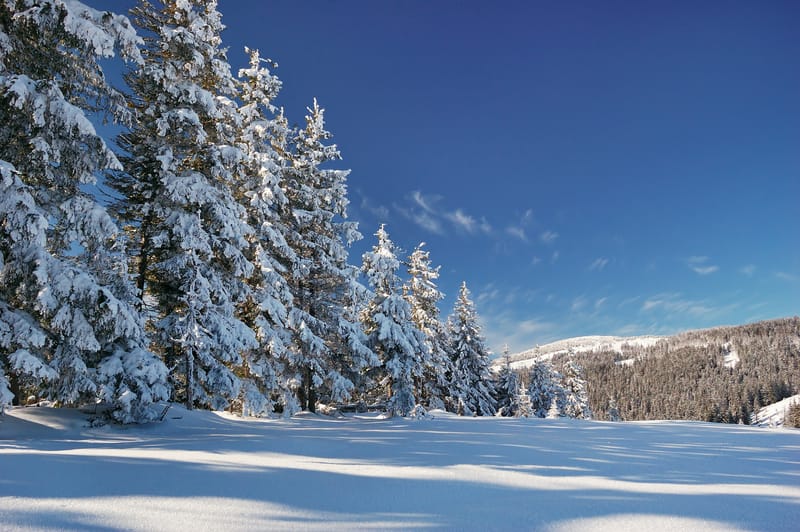 Meteo: previsioni sorprendenti per fine mese, cosa aspettarsi