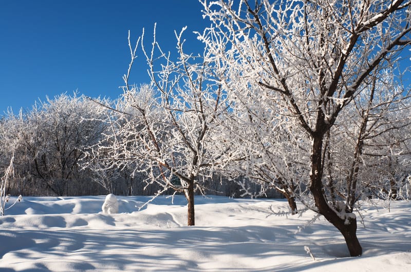 Meteo: febbraio porterà il vero inverno con neve in pianura