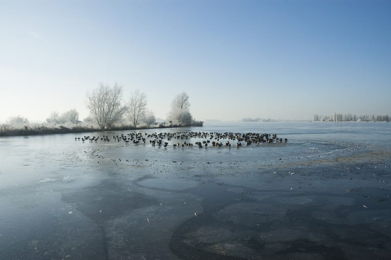 Condizioni pericolose del ghiaccio sui laghi del nord nonostante il freddo