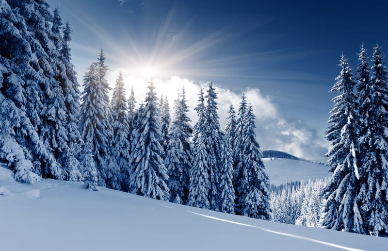 Il potenziale meteo di febbraio è intatto, l’inverno tornerà