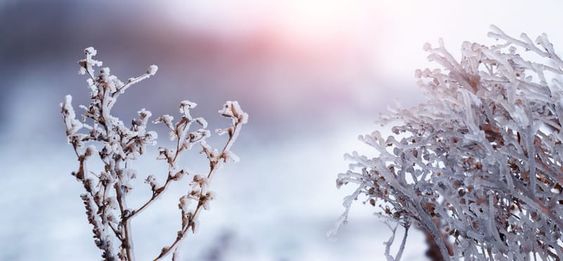 Meteo: neve senza nuvole al nord e i rischi da considerare