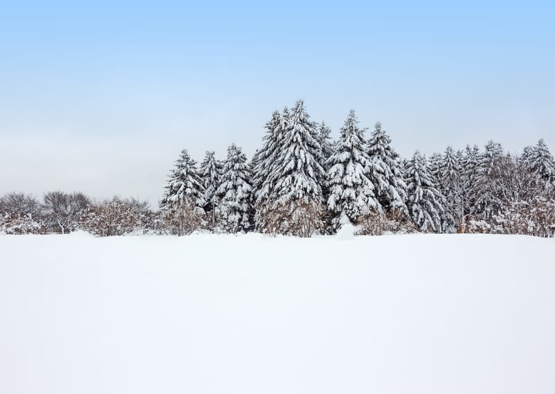 Meteo: arriva il ruggito dell’inverno a febbraio con grandi aggiornamenti