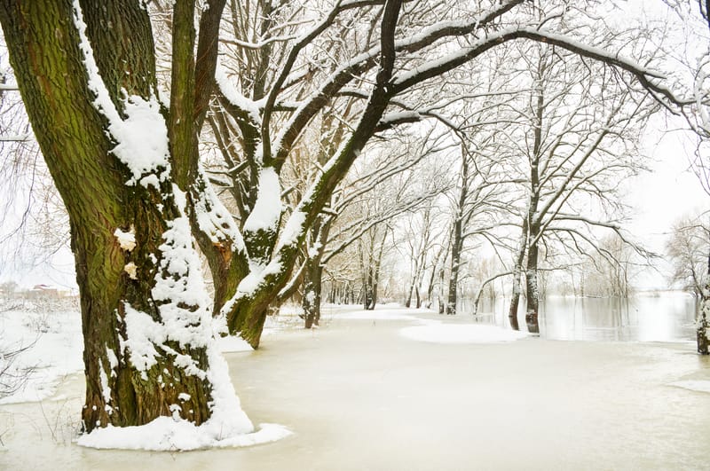 Qual è il meteo del nostro inverno? Sognare e realtà
