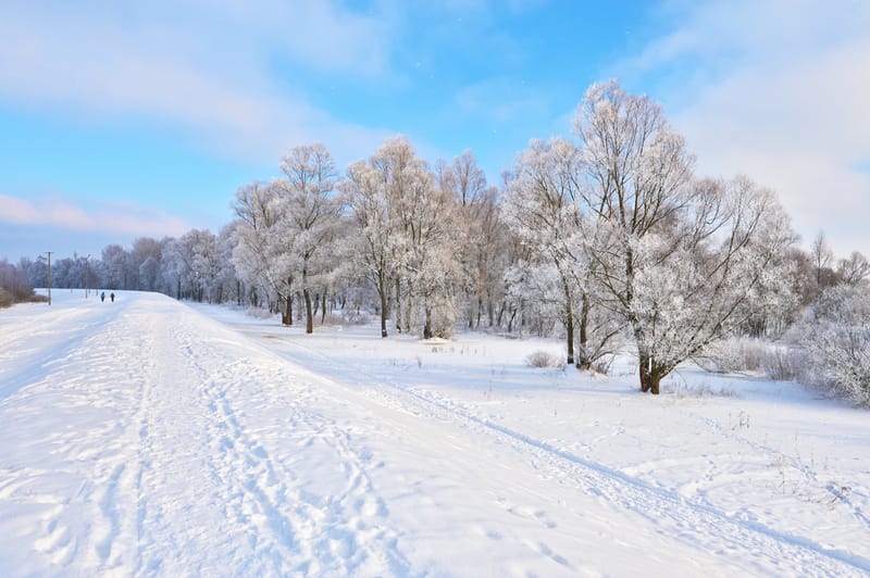 Meteo: caldo anomalo anticipa la fine dell’inverno?