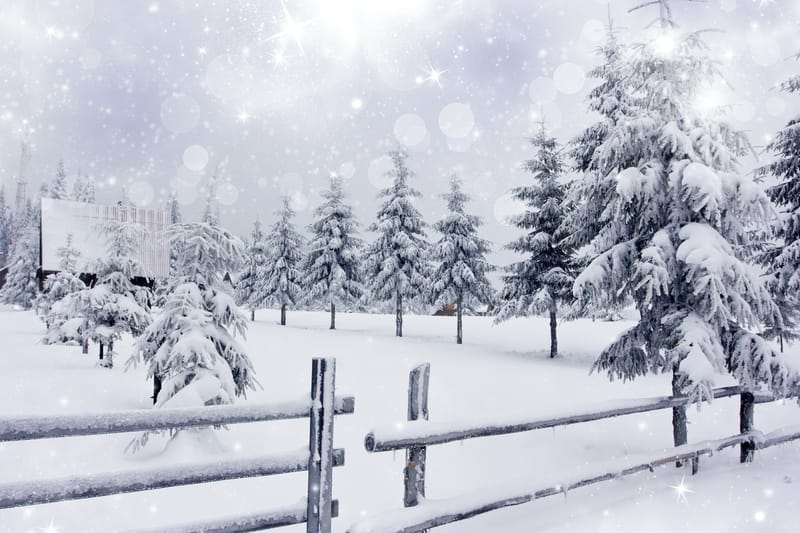 Cresce l’attesa per il gelo siberiano in arrivo