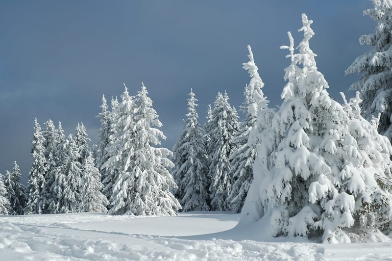 Meteo: neve a bassa quota nelle prossime ore nelle regioni italiane