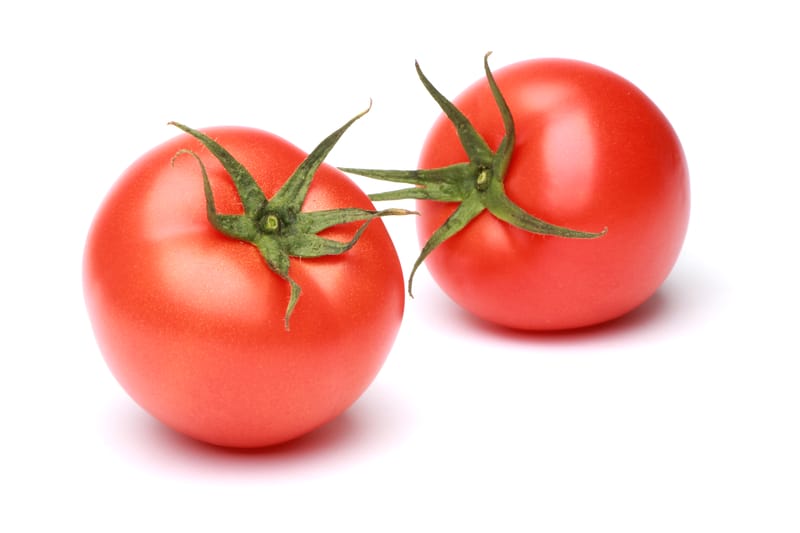 Come le piante di pomodoro si adattano alle condizioni di siccità