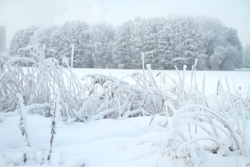 Perché è difficile cambiare il trend meteo invernale