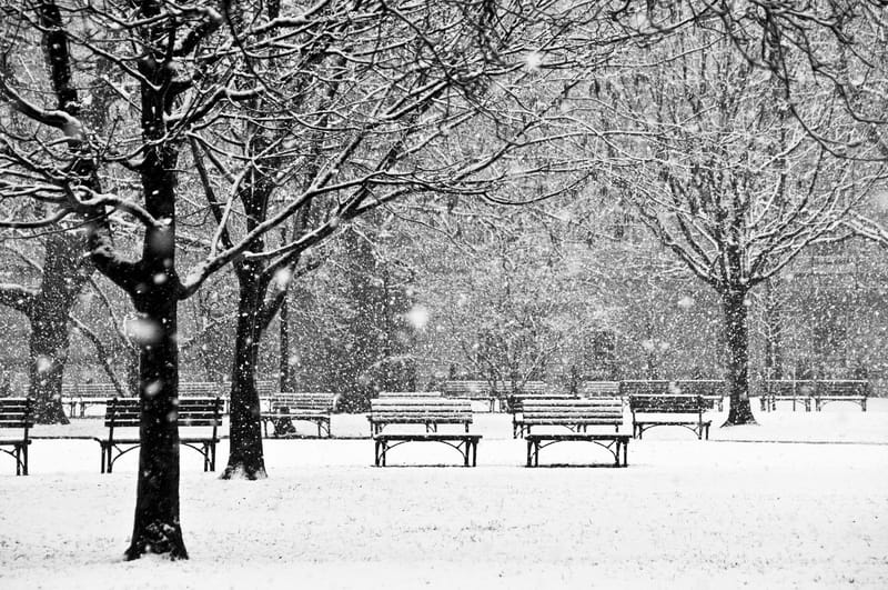 Meteo senza inverno, una tendenza che preoccupa
